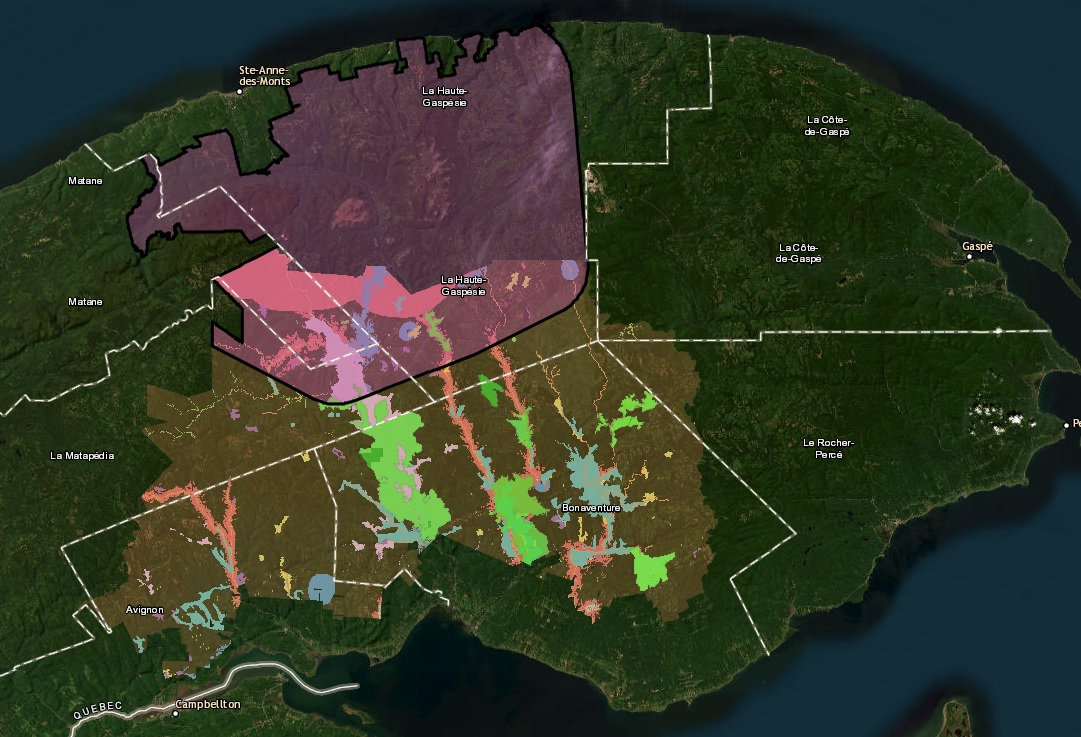 carte des forêts de haute valeur pour la conservation