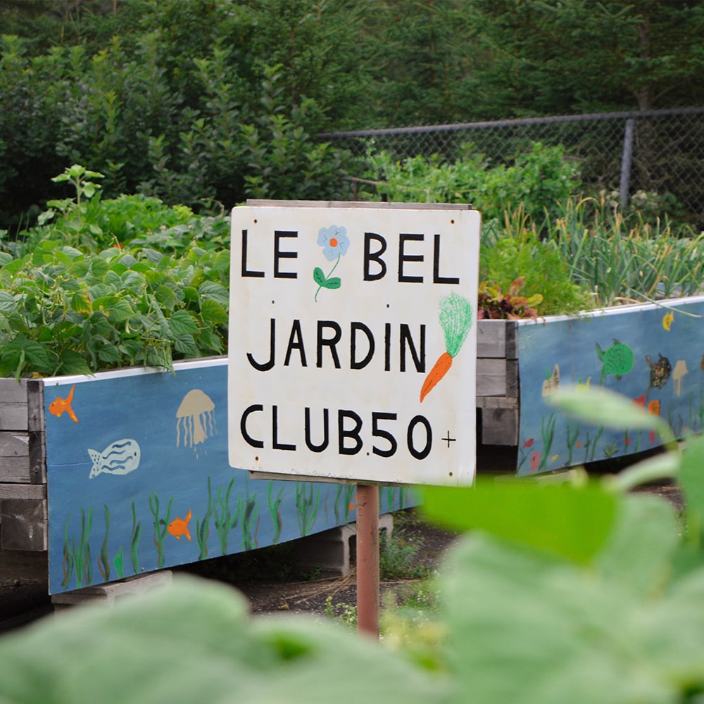 Jardin lebel club50 176x176